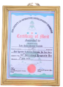 Members Mobilization Award